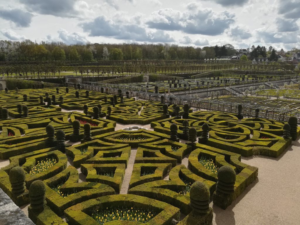 Formal gardens at Chateau de Villandry