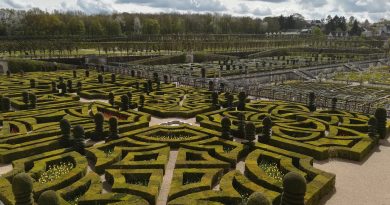 Formal gardens at Chateau de Villandry
